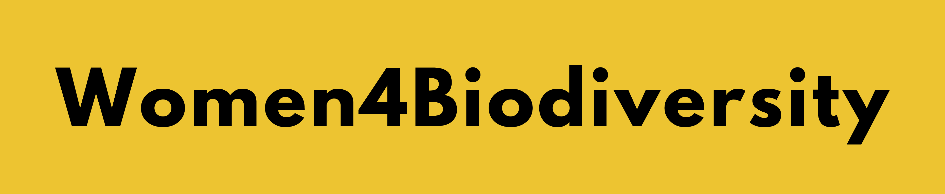 W4B